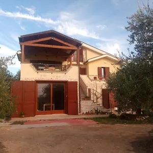 Degli Ulivi , Ossi Italie